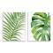 Stupell Industries Tropical Green Palms on Minimal White Background Wall Plaque Set